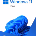 Windows 11 Pro LifeTime